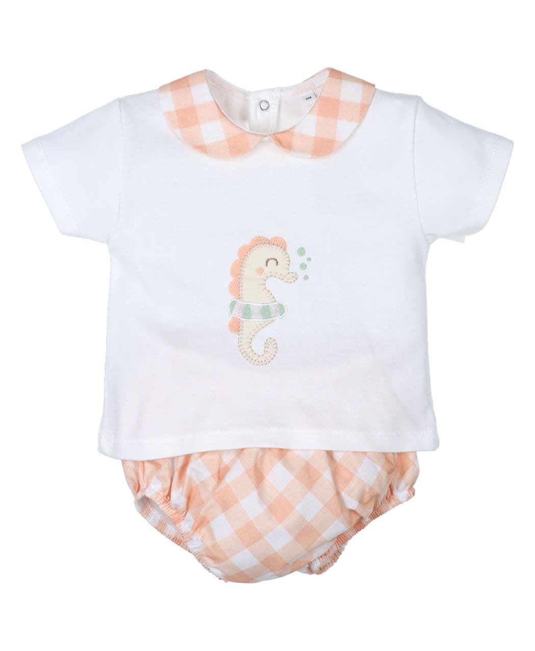 Conjunto niño caballito mar - Imagen 1