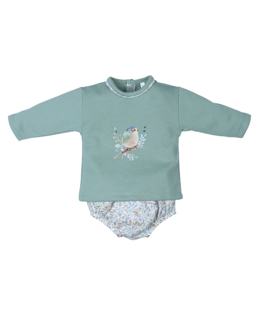 Conjunto pájaro - Imagen 1