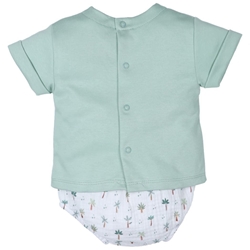 Conjunto palmeras verde - Imagen 2