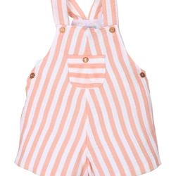 Peto rayas naranja - Imagen 1