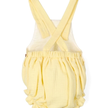 Ranita amarilla - Imagen 2