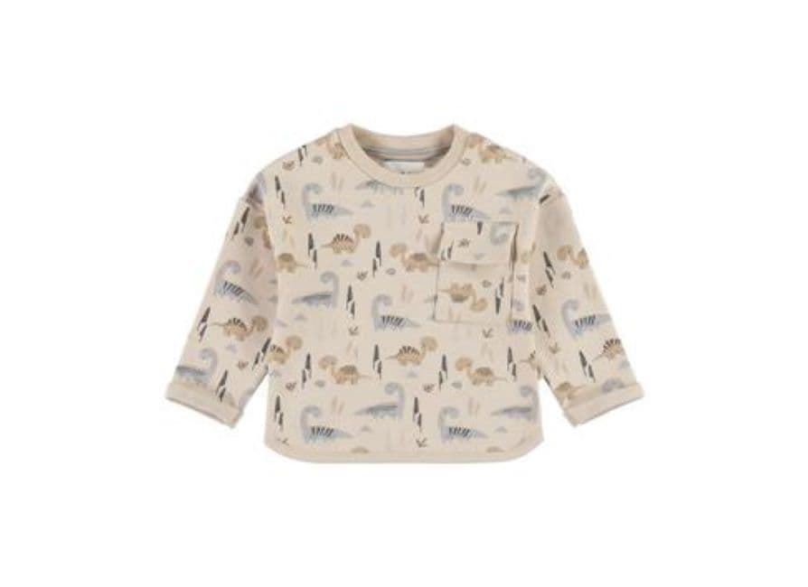 Sudadera dinosaurio - Imagen 1