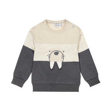 Sudadera foca - Imagen 1