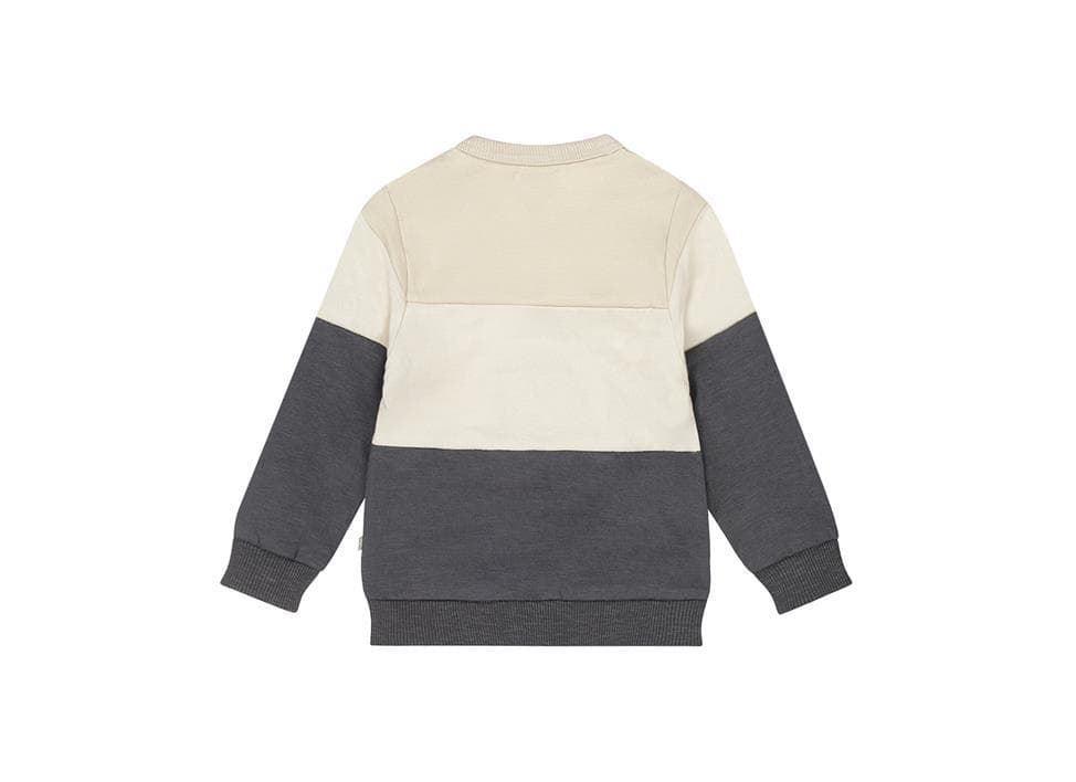 Sudadera foca - Imagen 2