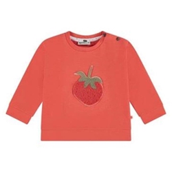 Sudadera fresa - Imagen 1