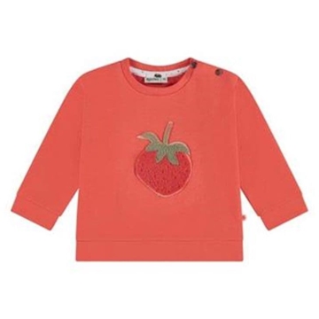 Sudadera fresa - Imagen 1