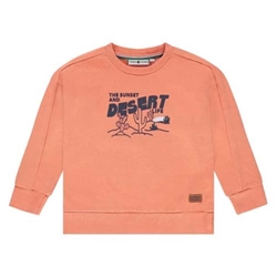 Sudadera naranja - Imagen 1