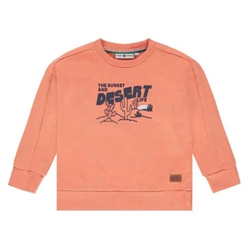 Sudadera naranja - Imagen 1