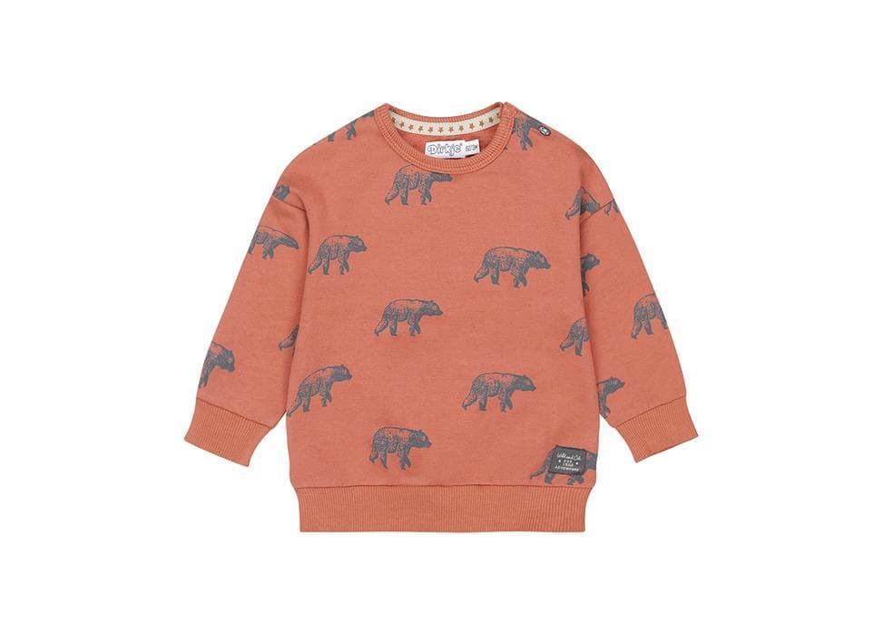 Sudadera osos - Imagen 1