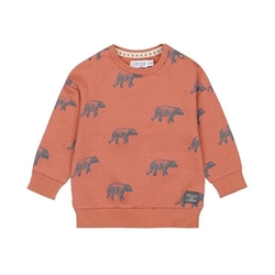 Sudadera osos - Imagen 1