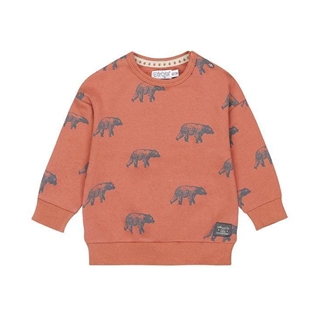 Sudadera osos - Imagen 1