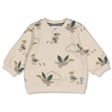 Sudadera patos - Imagen 1